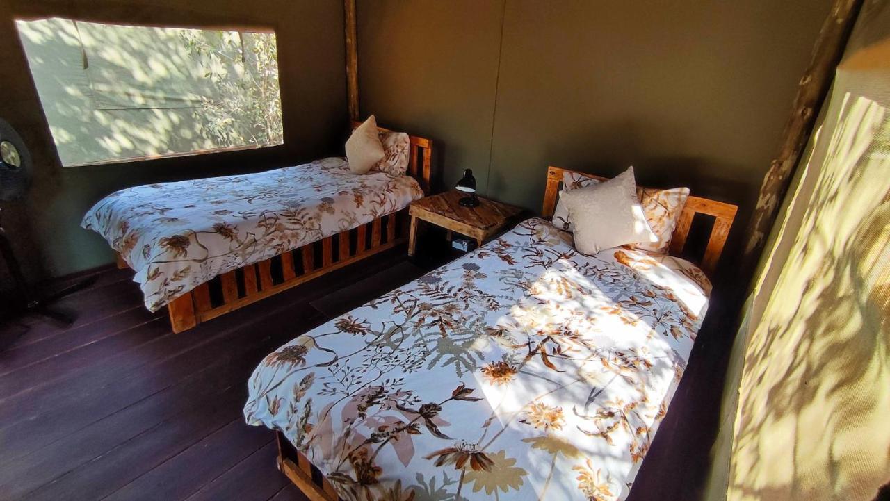 Elephant Trail Guesthouse And Backpackers Kasane Bagian luar foto