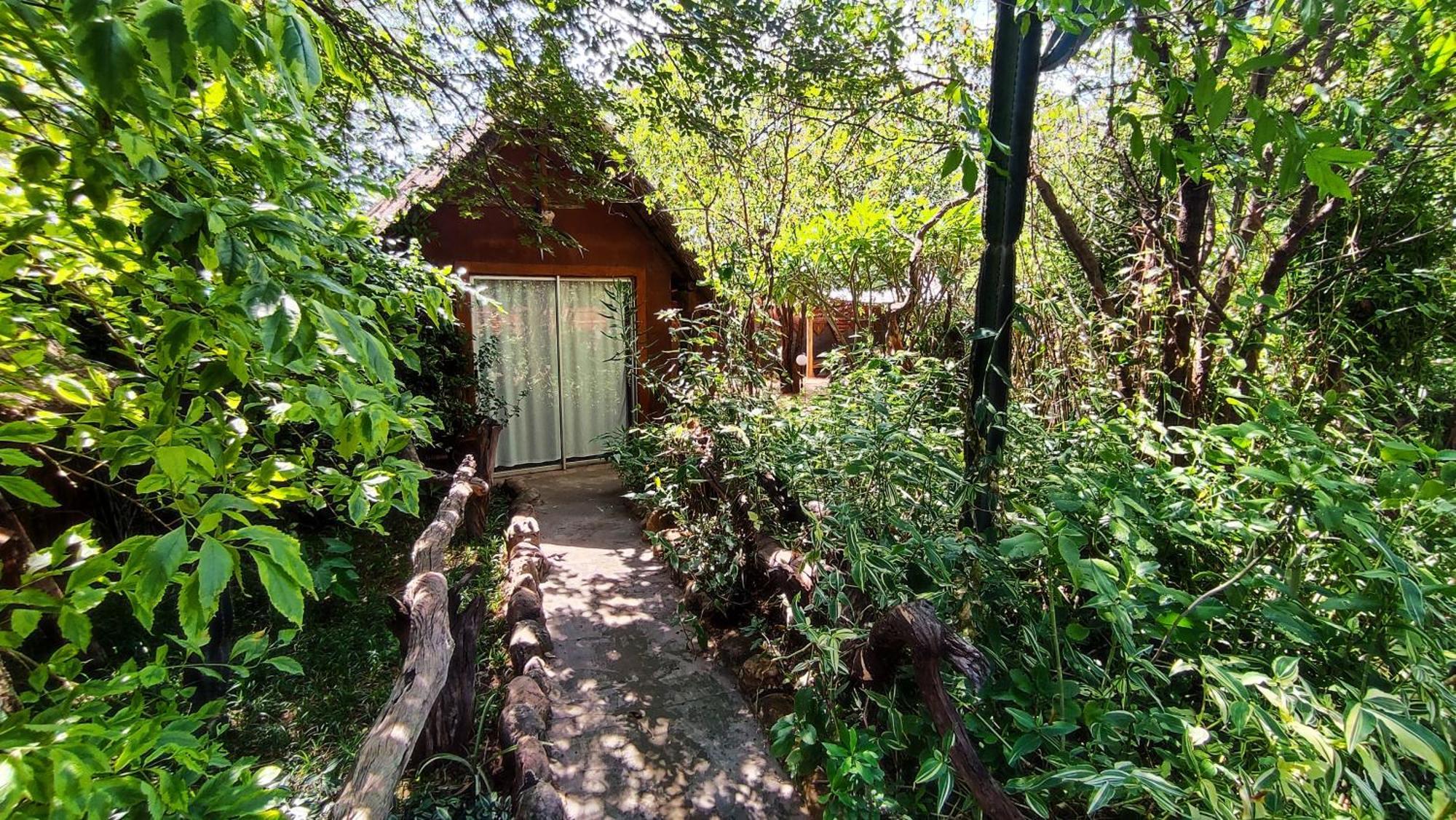 Elephant Trail Guesthouse And Backpackers Kasane Bagian luar foto