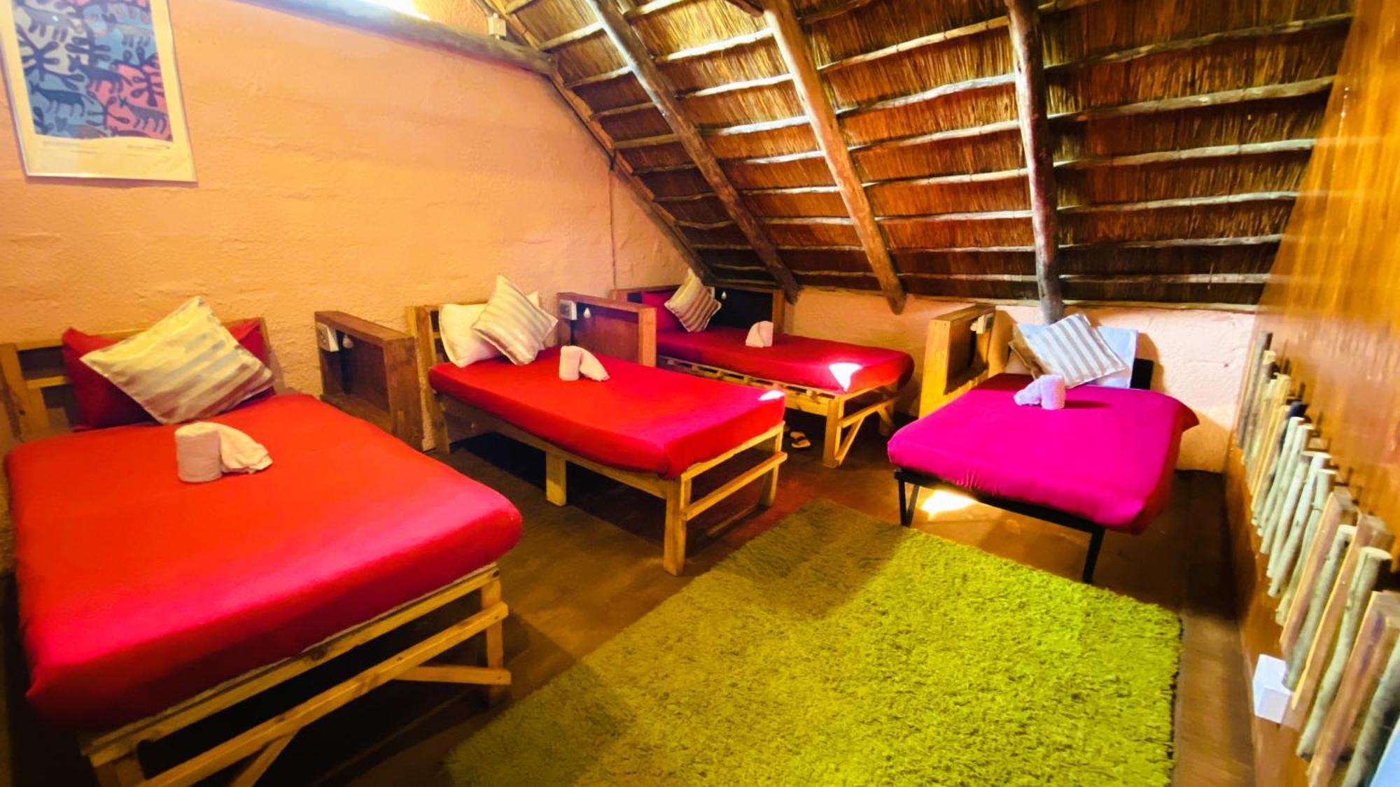 Elephant Trail Guesthouse And Backpackers Kasane Ruang foto