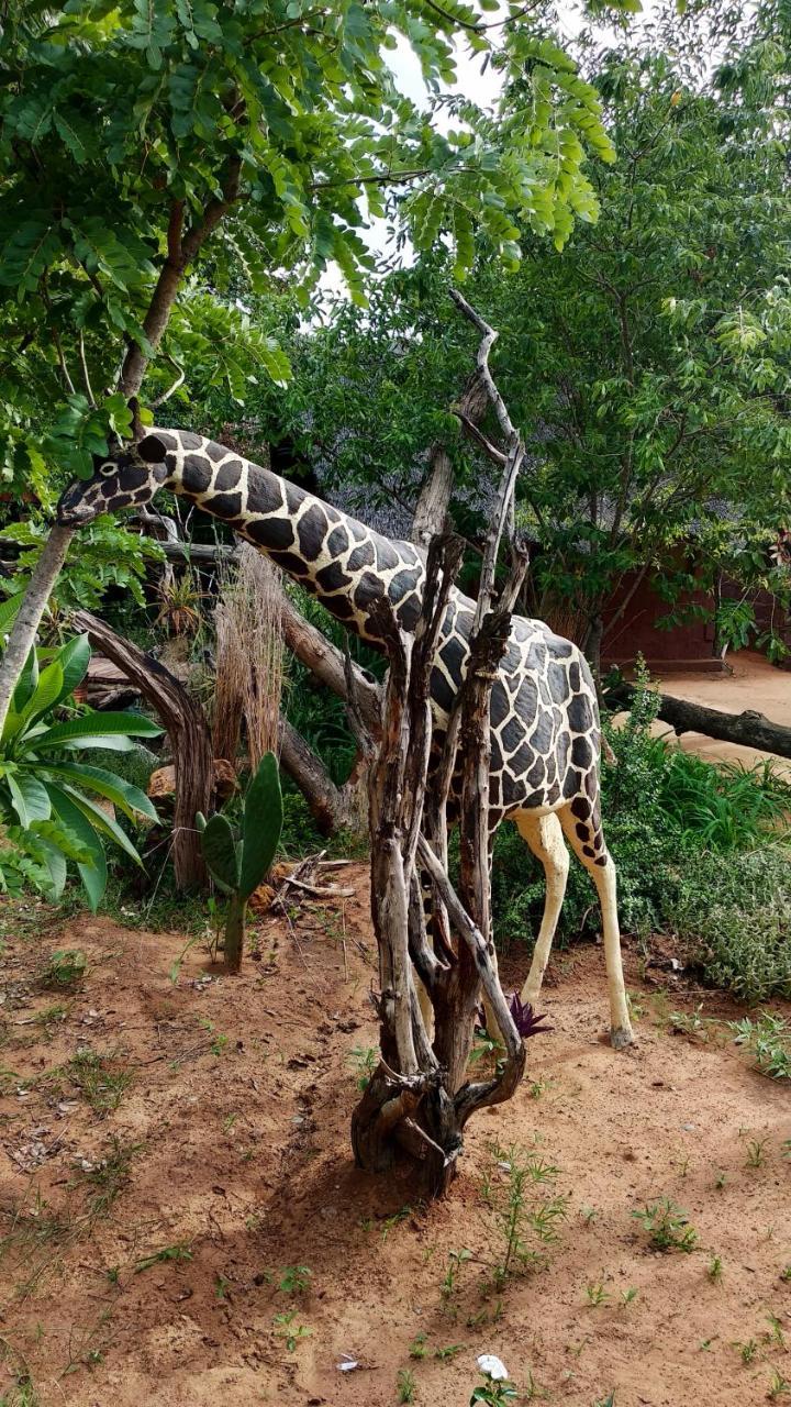 Elephant Trail Guesthouse And Backpackers Kasane Bagian luar foto
