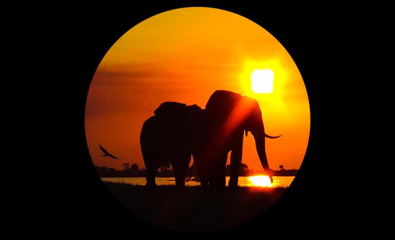 Elephant Trail Guesthouse And Backpackers Kasane Bagian luar foto